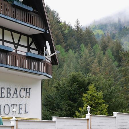 Seebach-Hotel Dış mekan fotoğraf